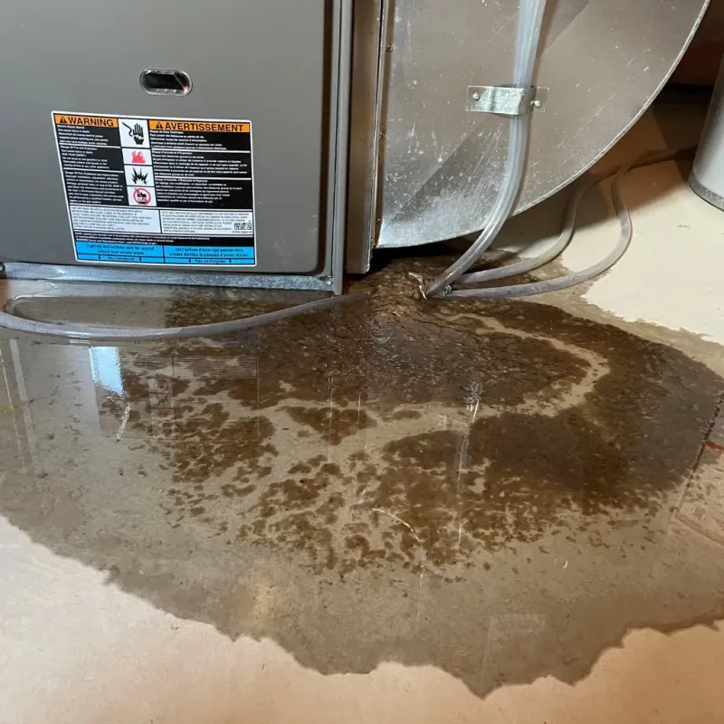 Appliance Leak Cleanup in Dublin, OH